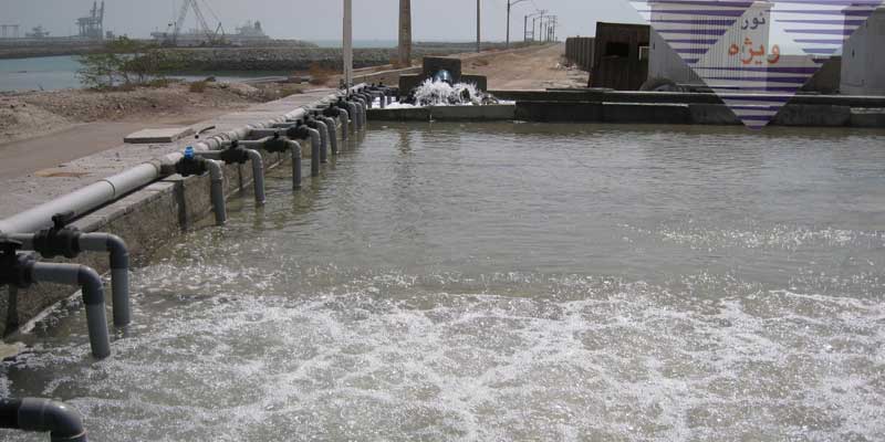 پروژه بندرعباس